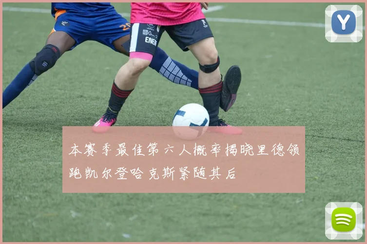 本赛季最佳第六人概率揭晓里德领跑凯尔登哈克斯紧随其后